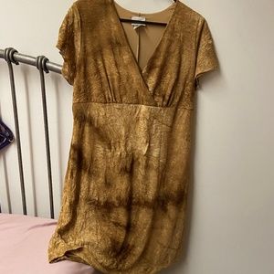 Lowcut Brown Dress